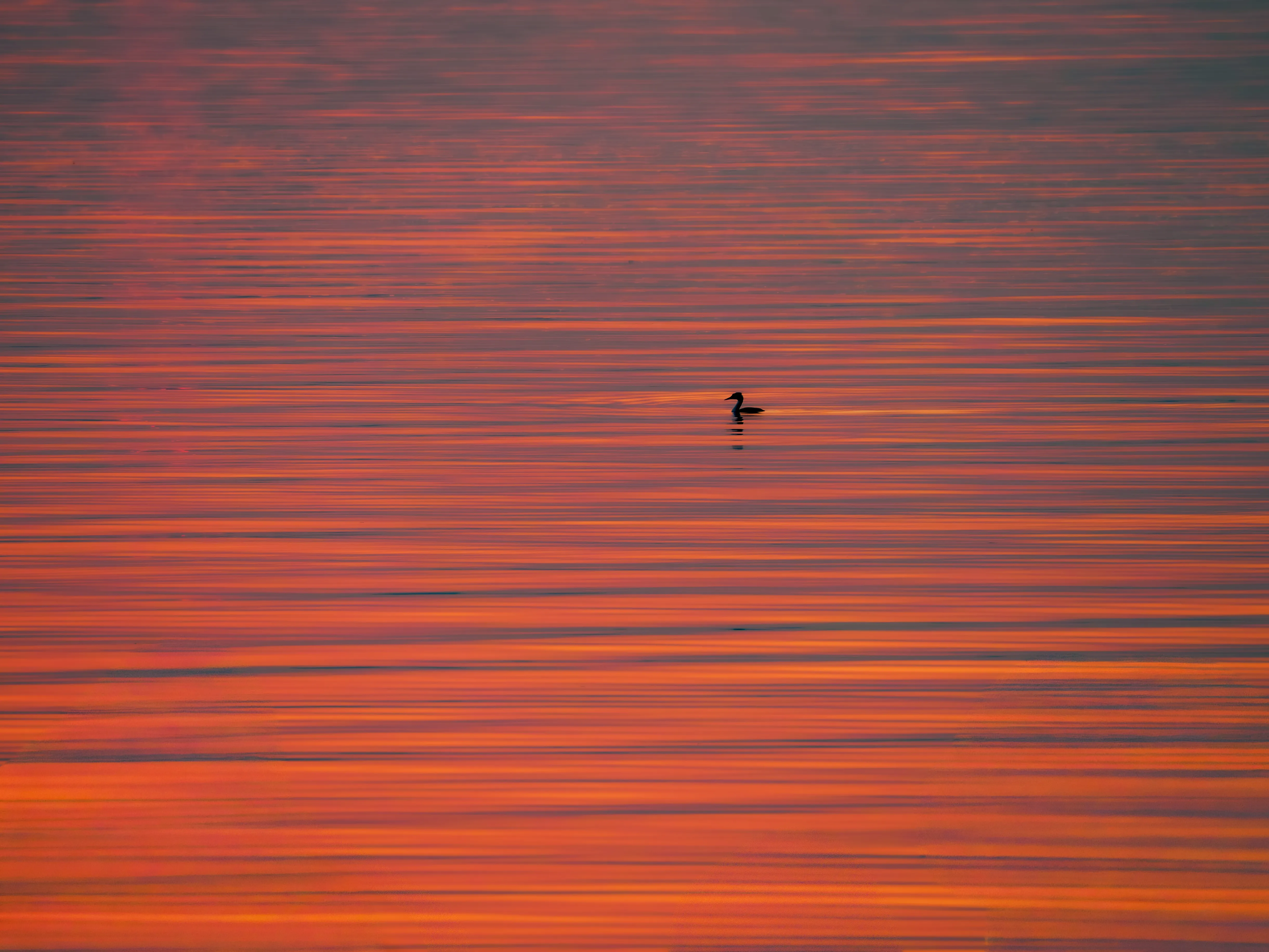 Taihu Sunset